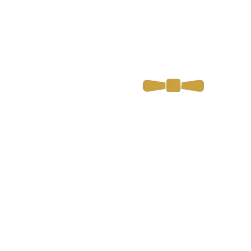 זפי אינסטלציה שיווק והפצה